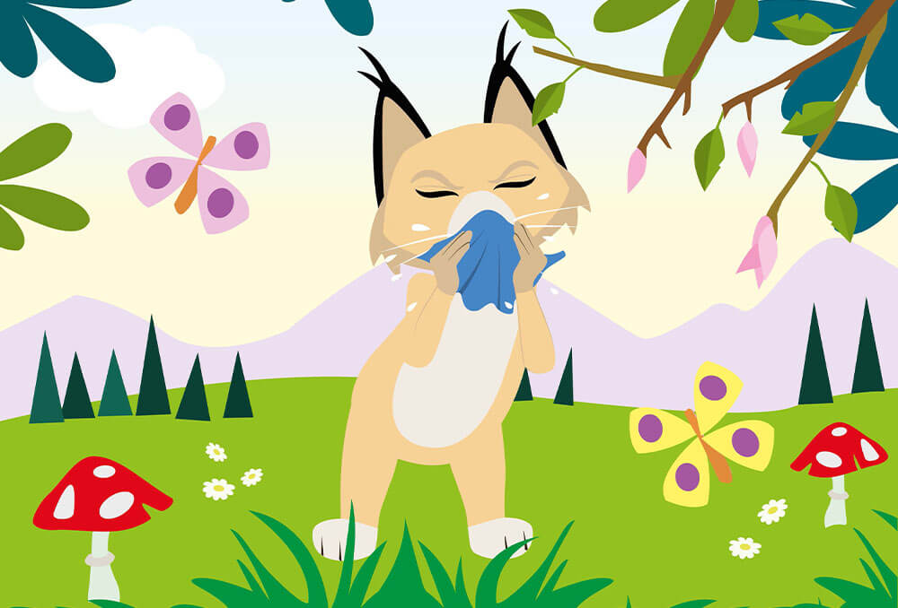 Rescue Fox - Eva schnäuzt